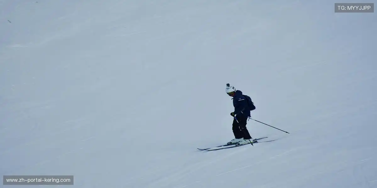 跌倒的印记,终将铸成王冠的底座。🌀 ⚗️
